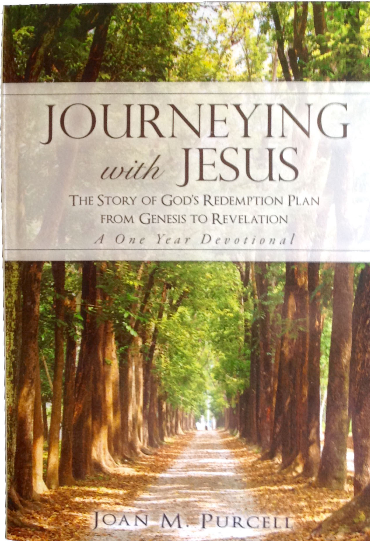 Journeying With Jesus